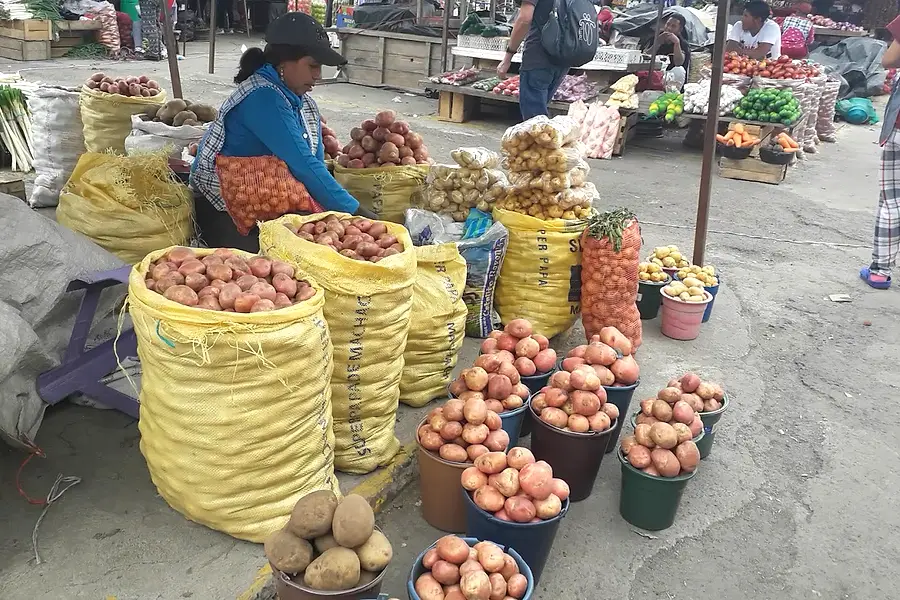 La Ofelia — foto 2