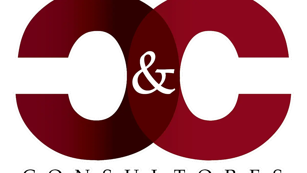 C&C CONSULTORES