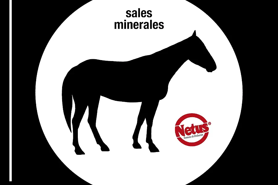 Vimin - Vitaminas y Minerales C.A. — foto 2