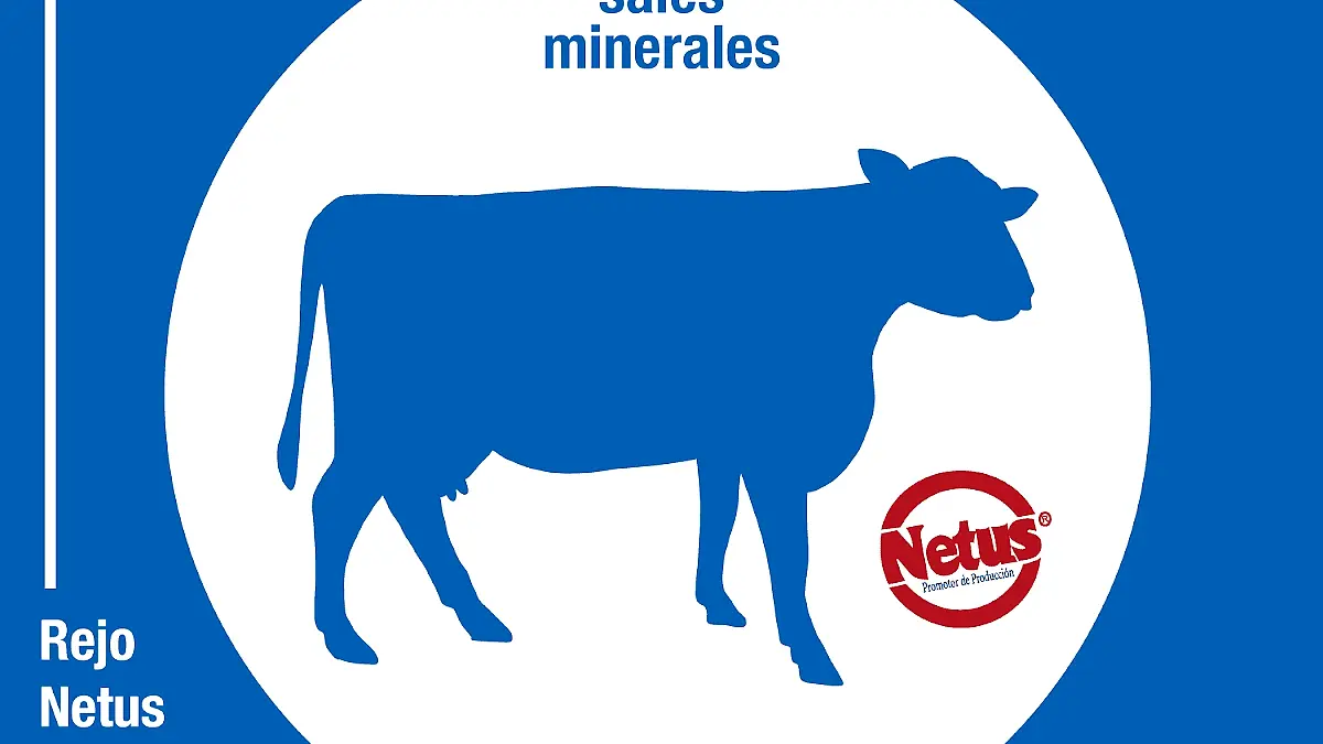Vimin - Vitaminas y Minerales C.A. — foto 1