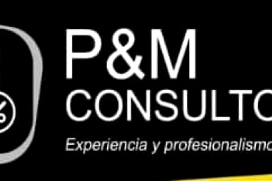 P&M Consultores — foto 4