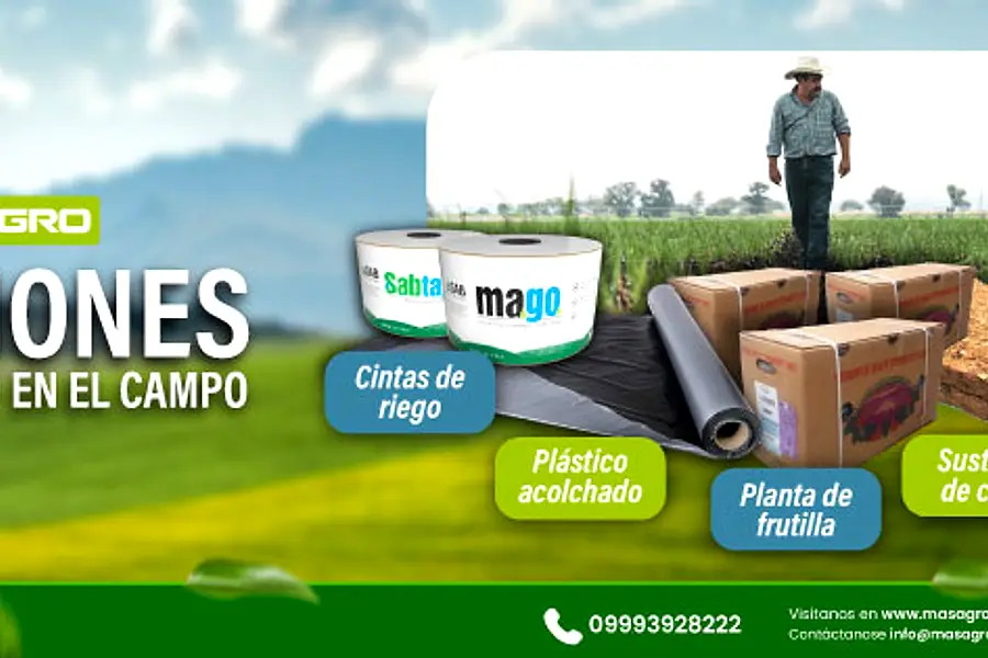 Masagro — foto 4