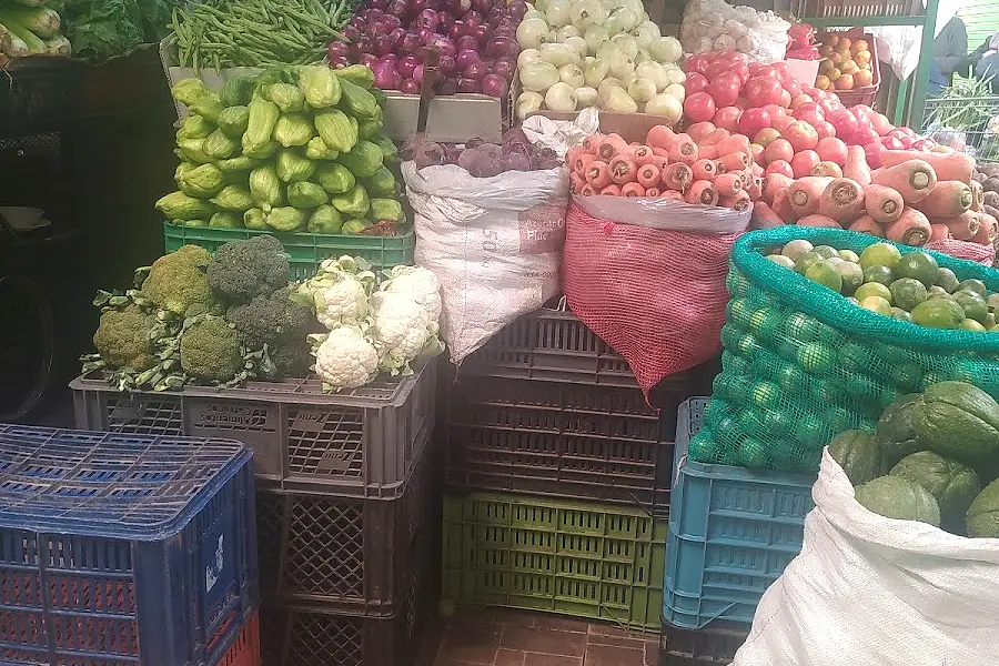 Distribuidora de frutas y verduras león — foto 4