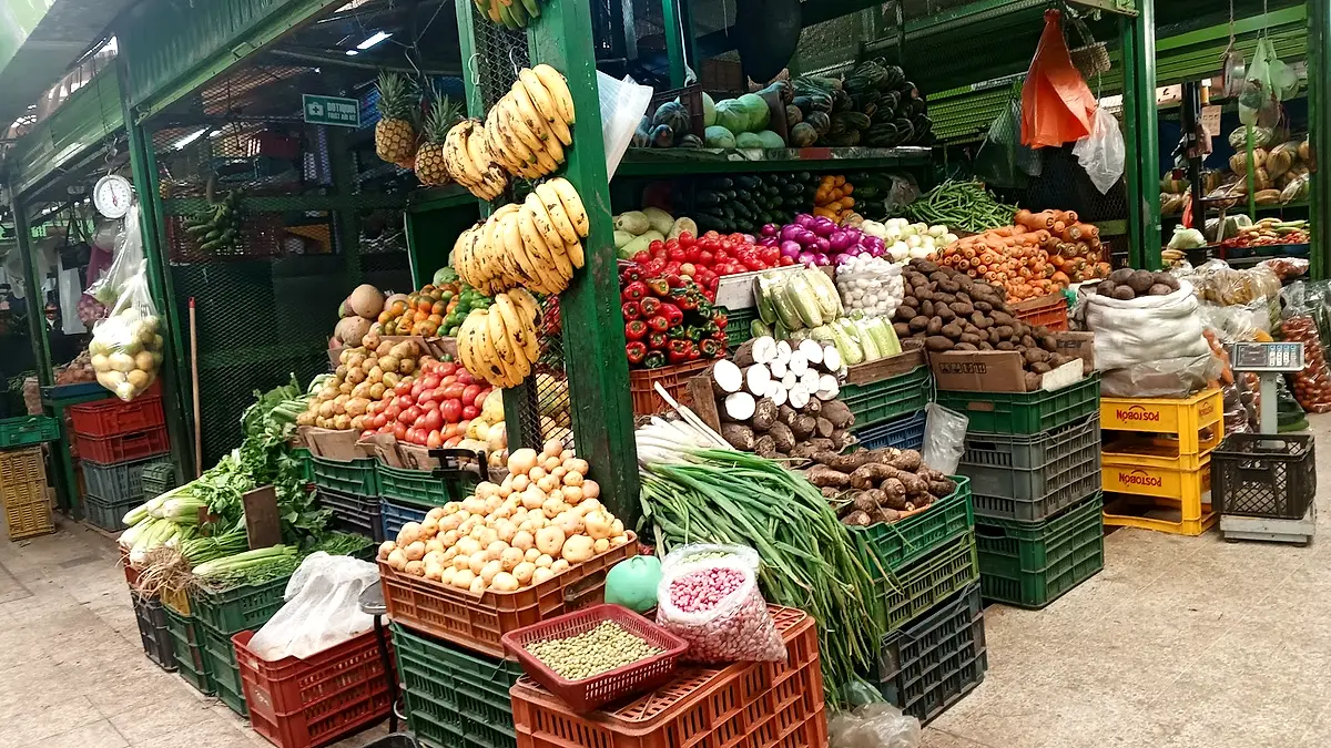 Distribuidora de frutas y verduras león