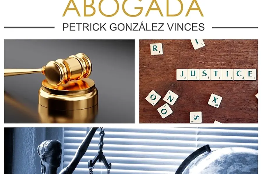 Abogada Petrick González. Asesoría empresarial — foto 2