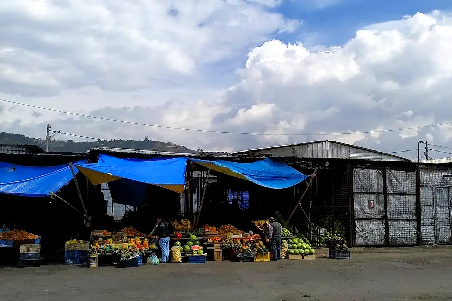 Mercado Municipal Mayorista — foto 3