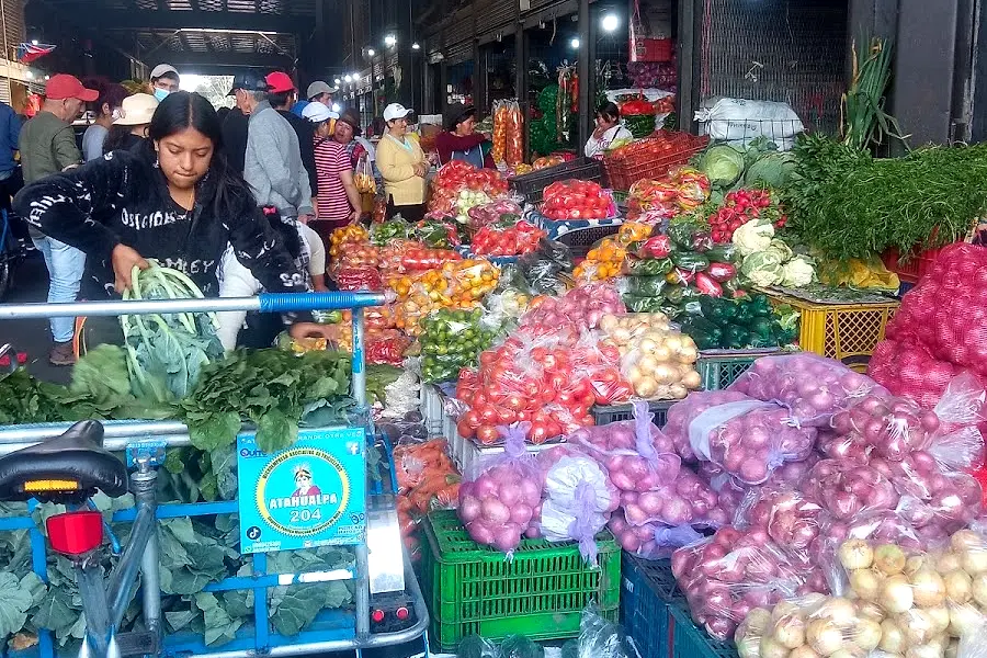 Mercado Municipal Mayorista — foto 4