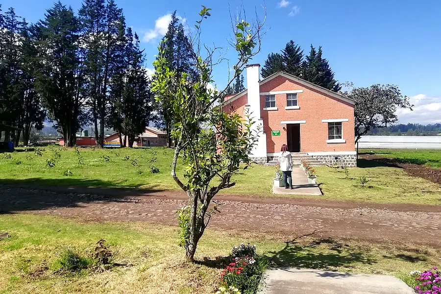 Aleproca Hortana — foto 2