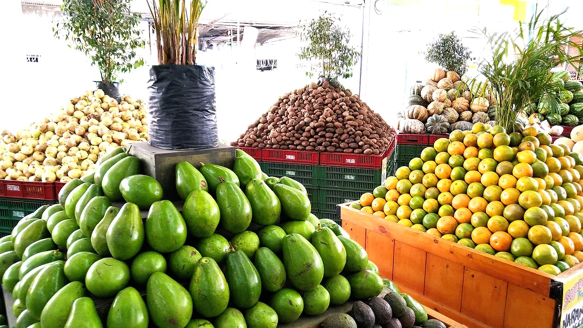 Frutimax 161 - Inversiones Martinez