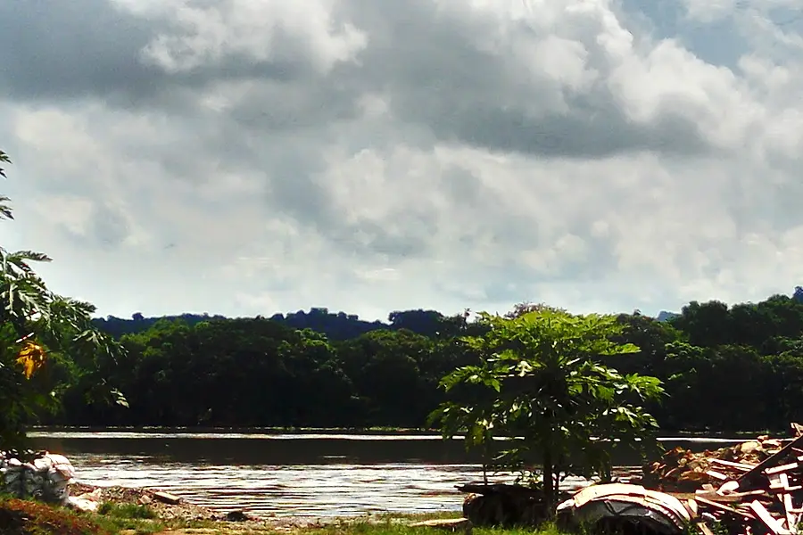 Dulcenac S.A. — foto 2