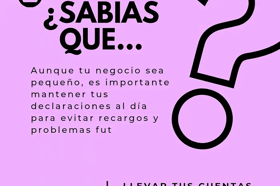 Vega Contabilidad & Asesoría — foto 4