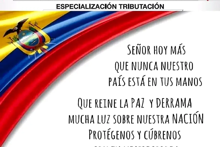 Servicios Contables Tributarios y Laborales — foto 4