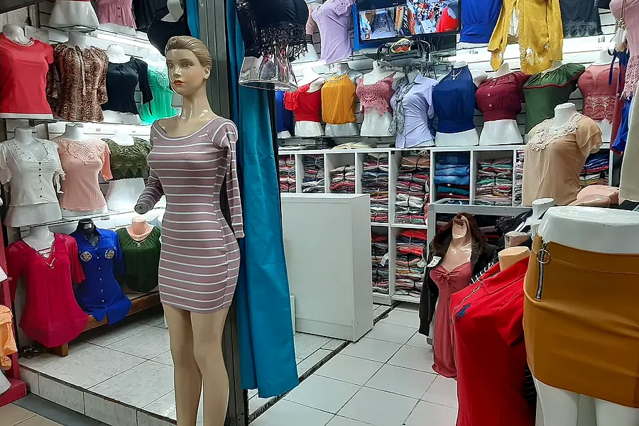 El mundo de la BLUSA — foto 2