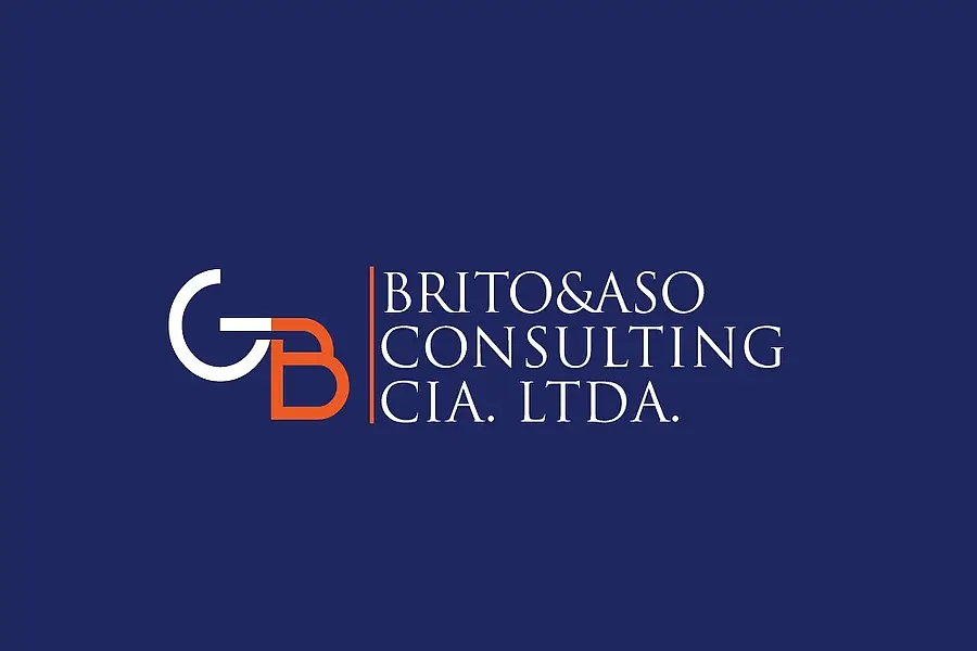 Brito&Aso Consulting — foto 3