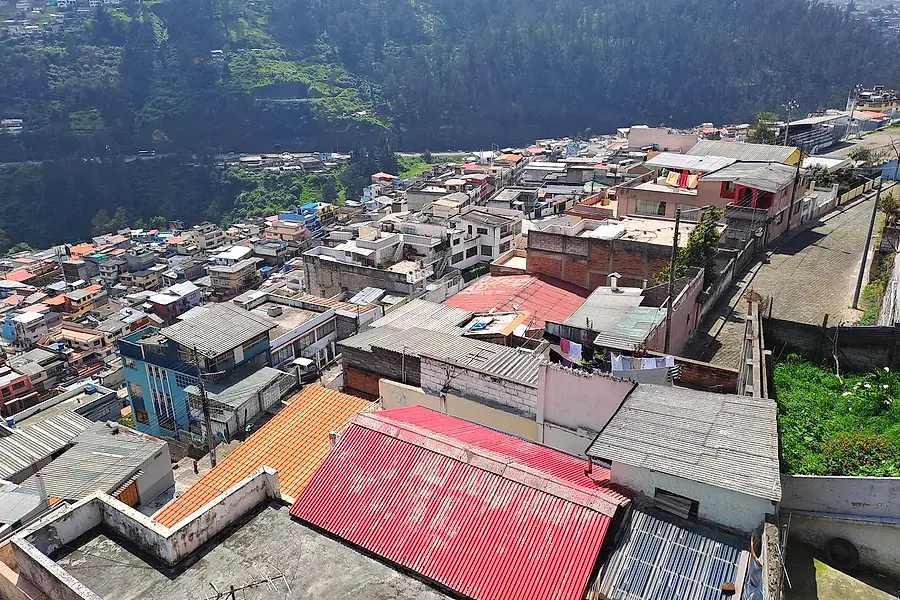 Semillas Capelo — foto 3