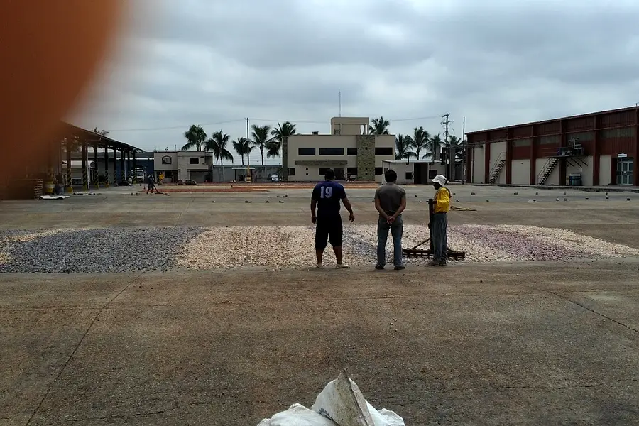 Cofinacocoa — foto 2