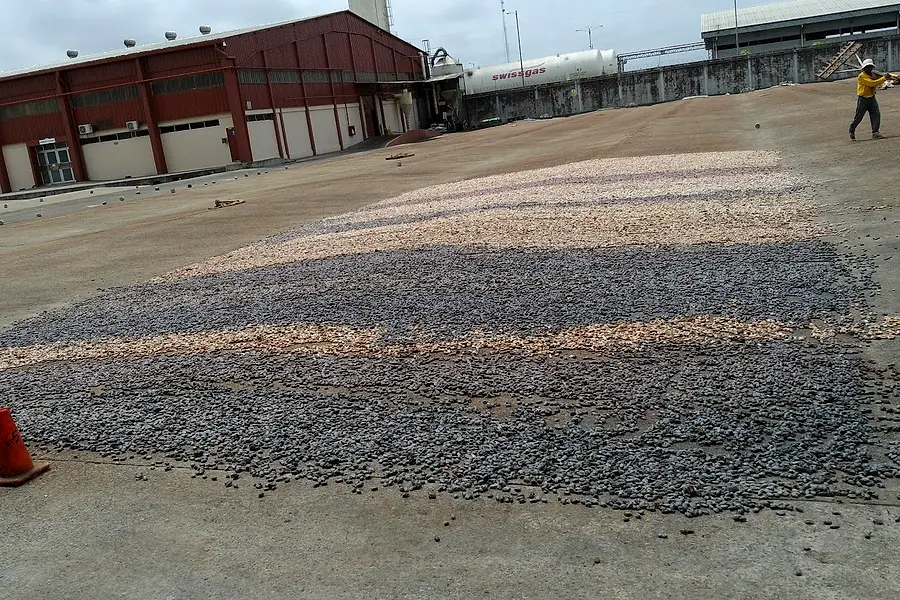Cofinacocoa — foto 4