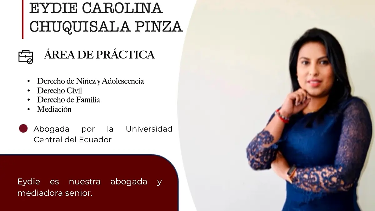 THEMIS LAW FIRM — foto 1