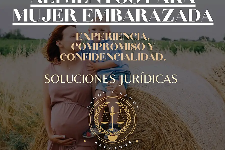 Soluciones Jurídicas Ramos y Asociados — foto 2