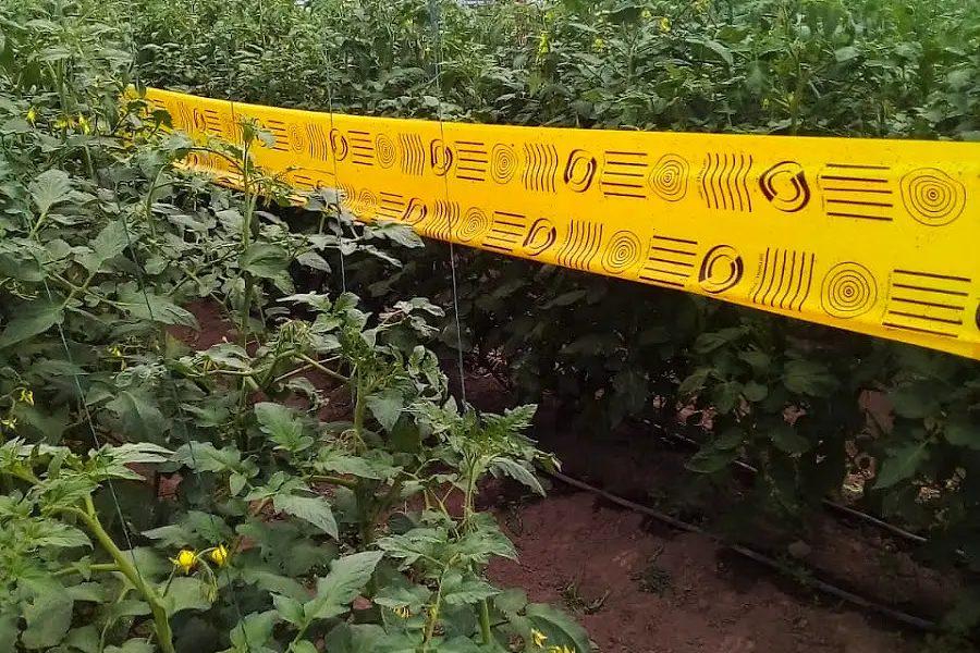 AGRO PRODUCTOS CIA. LTDA. — foto 3