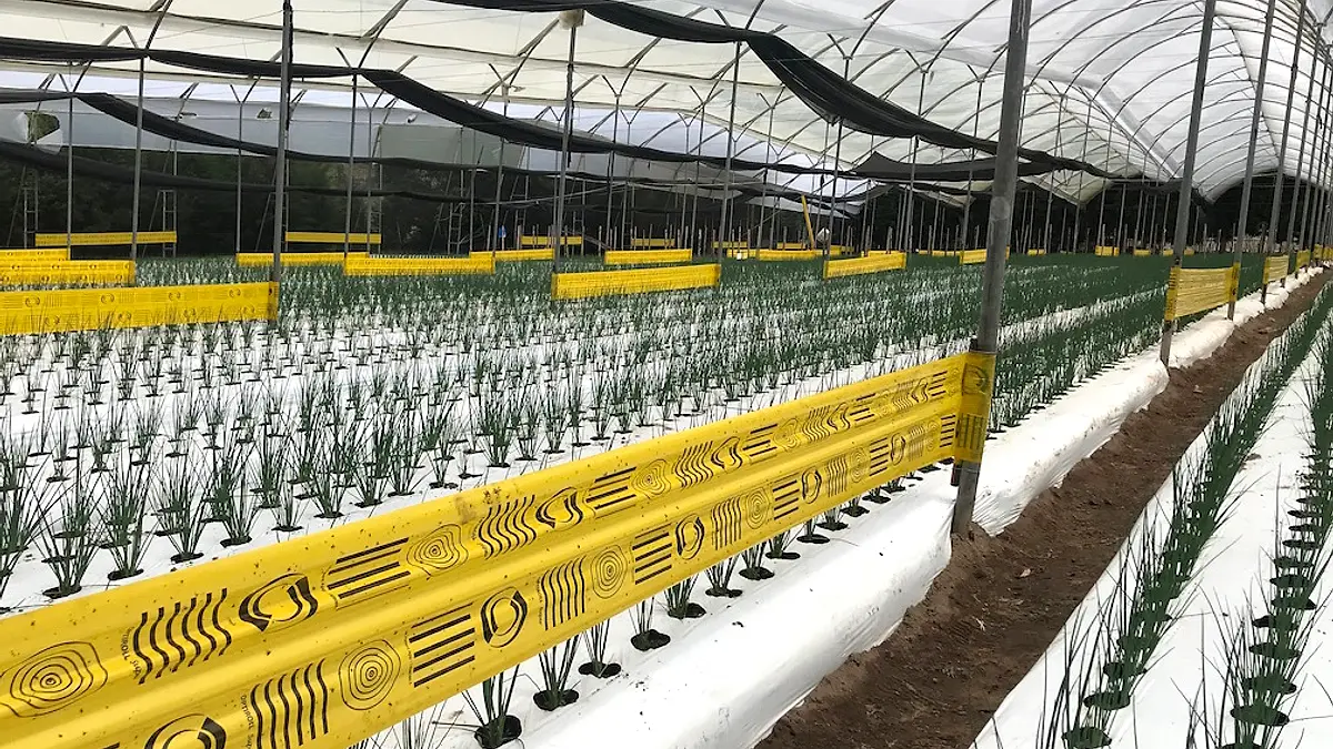 AGRO PRODUCTOS CIA. LTDA.