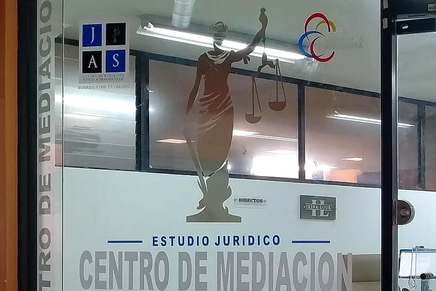 Abogada-Mediadora Irina Loor — foto 3