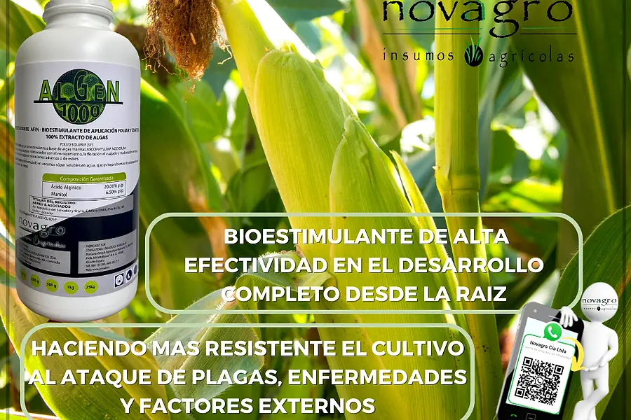 Novagro Insumos Agrícolas — foto 2