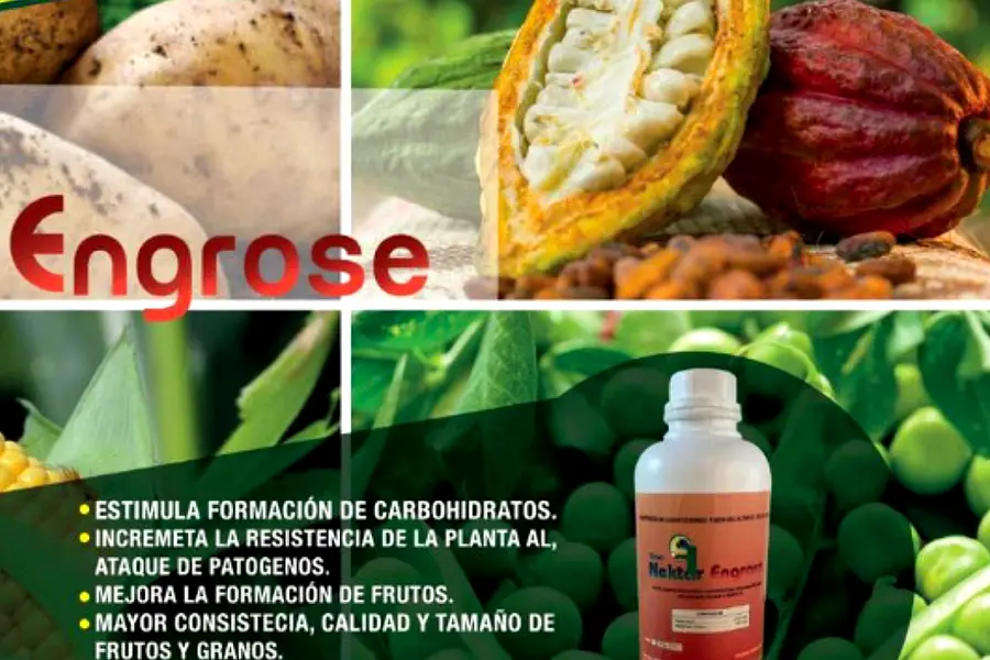 Novagro Insumos Agrícolas — foto 3