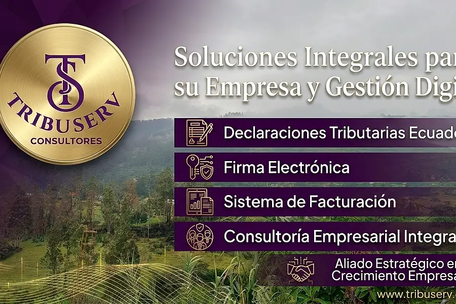 Tribuserv Consultores - Declaraciones, Firma Electrónica y Facturación — foto 4