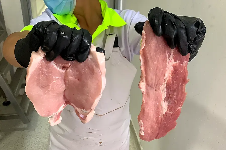 Alimentos cárnicos ecopork — foto 3