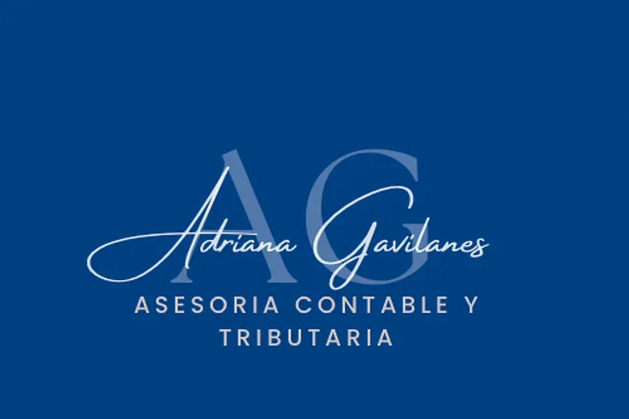 AG ASESORIA TRIBUTARIA Y CONTABLE — foto 2