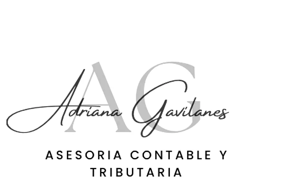 AG ASESORIA TRIBUTARIA Y CONTABLE — foto 3