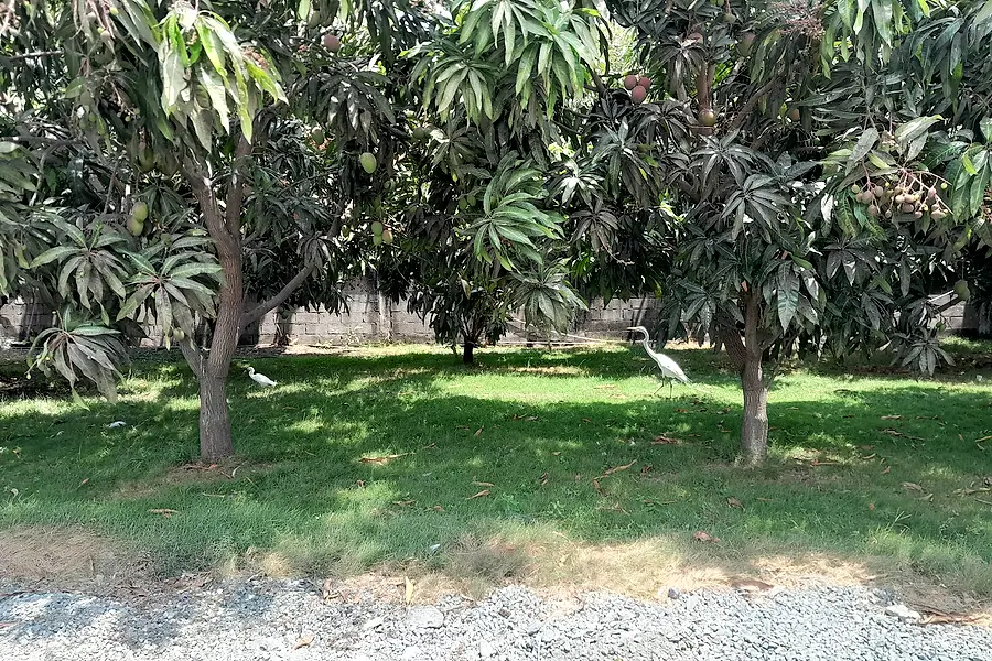 Empacreci SA — foto 2