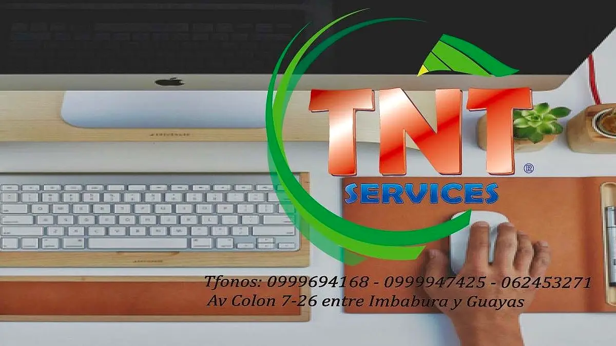 TNT Services - Gestion Contable & Inteligencia Empresarial