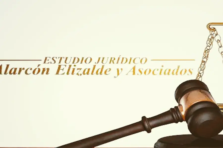 Estudio Jurídico Alarcón Elizalde y Asociados — foto 4