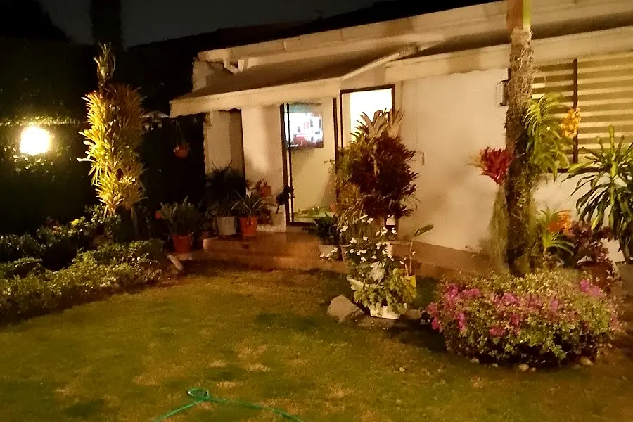 Orellana Life Solution & Co. — foto 3