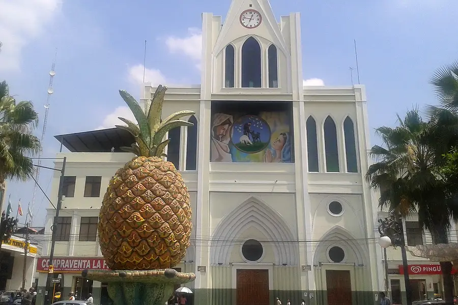 Alcaldía Ciudadana de Milagro — foto 2