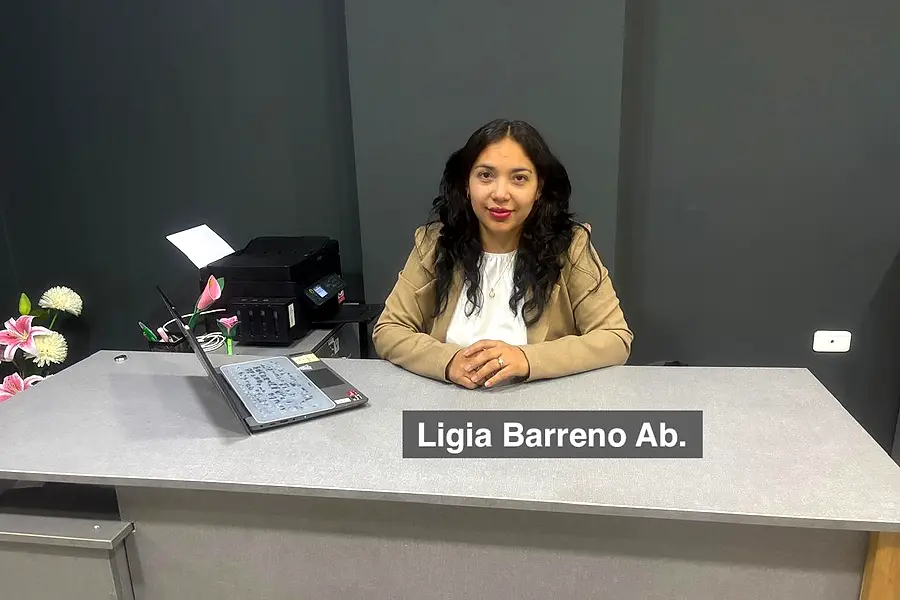 Blue Lex – Auditoría Tributaria, Contable, Financiera y Firma Legal — foto 3