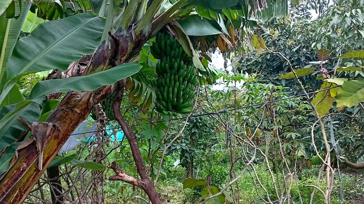 PRODUCTOS ORGÁNICOS